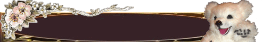 Ilse banner.gif